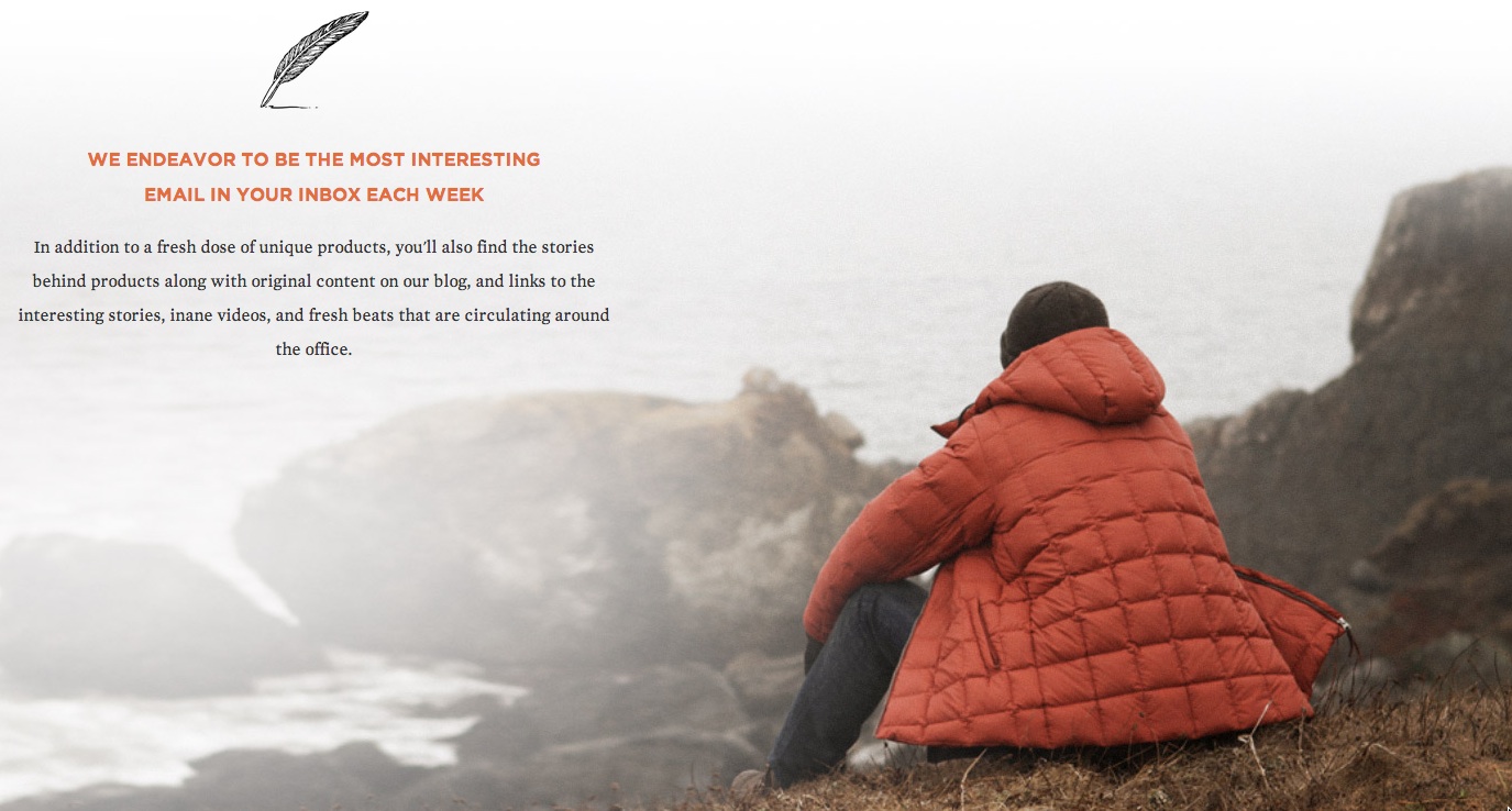 newsletter_about_us