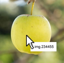 apple-2.2.jpg