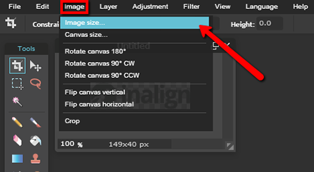 select "image size" from the "image" menu
